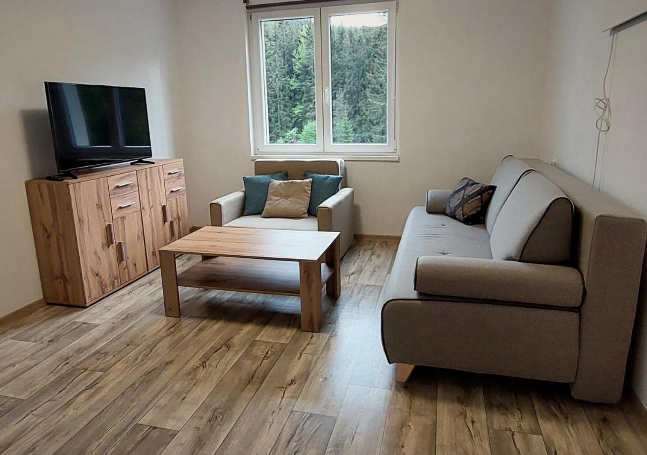 Apartmanek Jizerske Hory ヨセフーフ・ドゥール エクステリア 写真